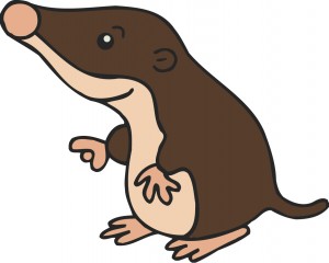 muldvarp